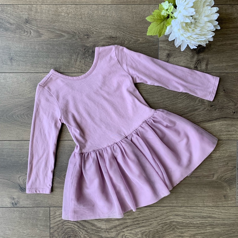 Baby Tutu Dress (18-24M)